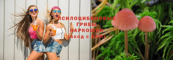 марки lsd Покачи