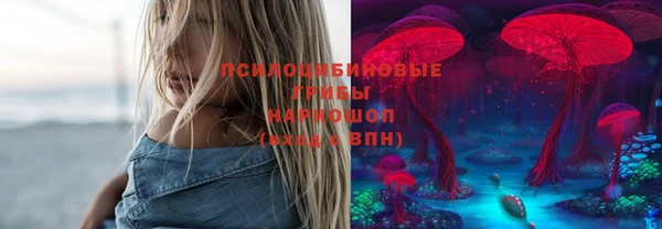 бошки Покров